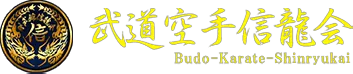 後ろ回し蹴りから回し蹴り2